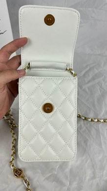 1:1 Chanel Bags 8882 17X13X3cm WO 4colour