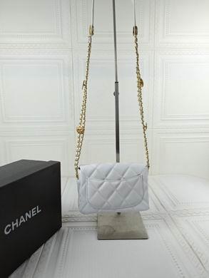 1:1 Chanel Bags 722 17X13X5cm WO