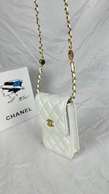 1:1 Chanel Bags 8882 17X13X3cm WO 4colour