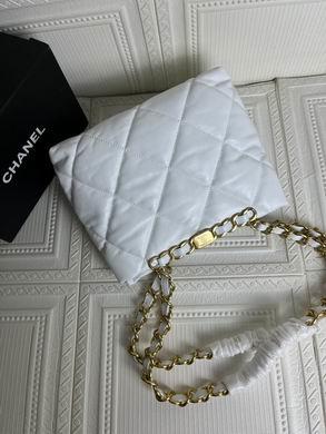 1:1 Chanel Bags 33816 24X29X10cm WO 2colour