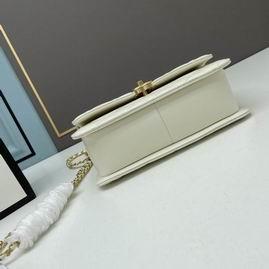 1:1 Chanel Bags Chanel 2649 22x14x7cm ww2色