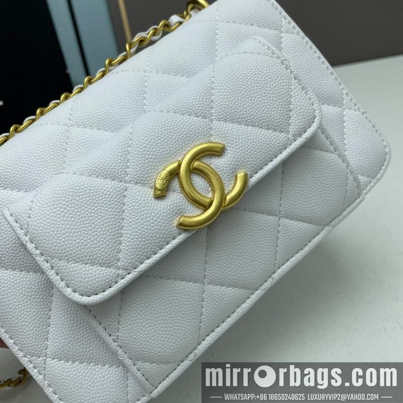 1:1 Chanel Bags Chanel woc2830 19x12x6cm ww4色