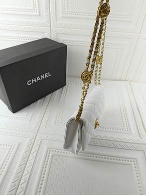 1:1 Chanel Bags 723 20X13X5.5cm WO