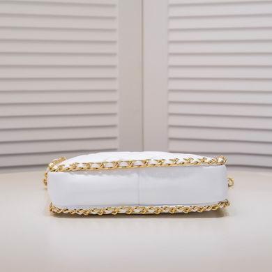 1:1 Chanel Bags AS3470 23X21X5cm WO 2colour