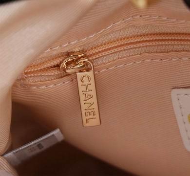 1:1 Chanel Bags 8841 22X23X5.5cm WO 2colour