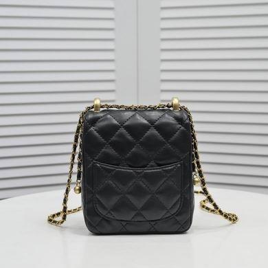 1:1 Chanel Bags WO9915 14X17X6