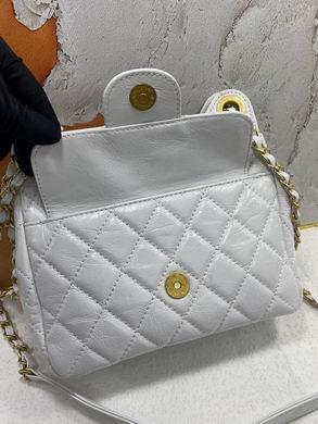 1:1 Chanel Bags AS3310 21X19X7cm WO 3colour