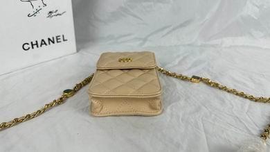 1:1 Chanel Bags 8882 17X13X3cm WO 4colour