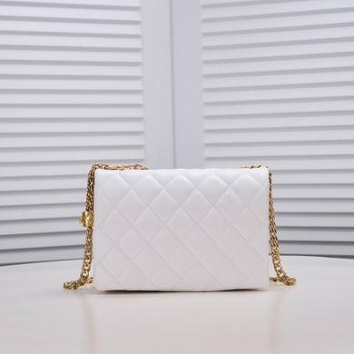 1:1 Chanel Bags 3330 22X4X16cm WO 3colour