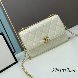 1:1 Chanel Bags Chanel 2649 22x14x7cm ww2色