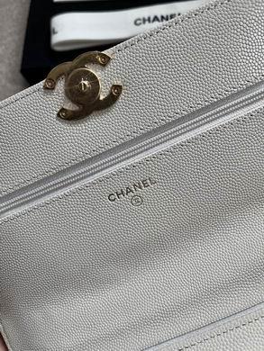1:1 Chanel Bags 19X12X3.5cm 092702