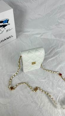 1:1 Chanel Bags 8882 17X13X3cm WO 4colour