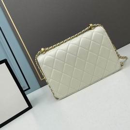 1:1 Chanel Bags Chanel 2649 22x14x7cm ww2色
