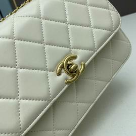 1:1 Chanel Bags Chanel 2649 22x14x7cm ww2色