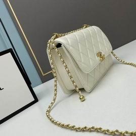 1:1 Chanel Bags Chanel 2649 22x14x7cm ww2色