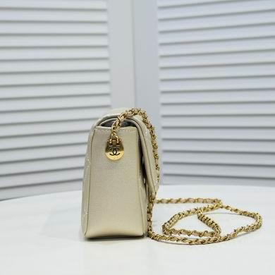 1:1 Chanel Bags A2855 19X13X6CM WO 4colour