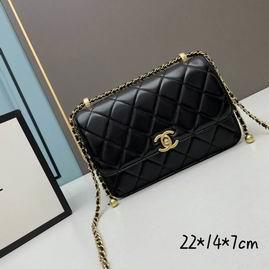1:1 Chanel Bags Chanel 2649 22x14x7cm ww2色