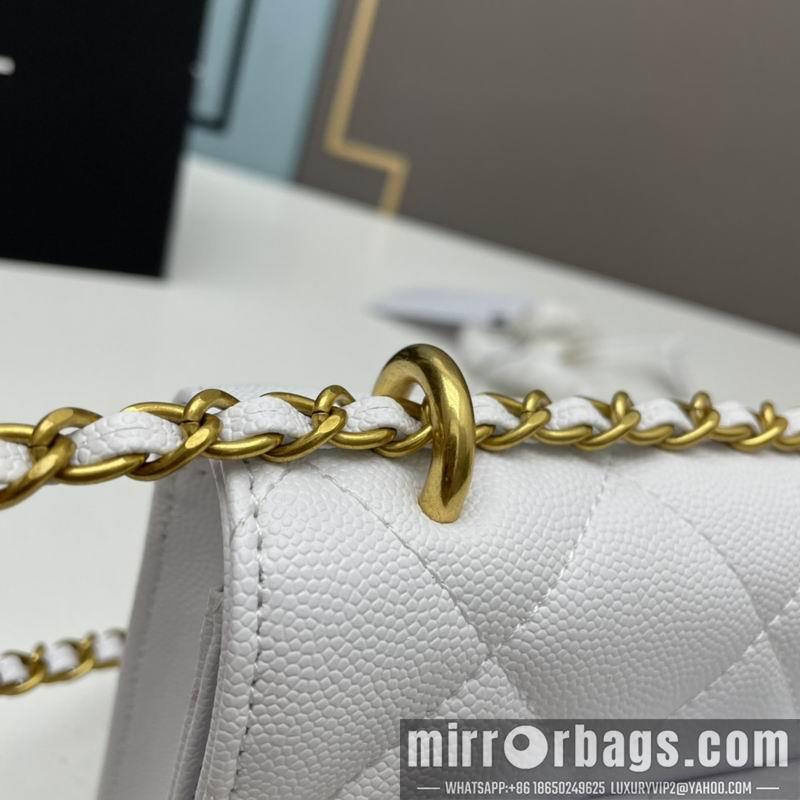 1:1 Chanel Bags Chanel woc2830 19x12x6cm ww4色