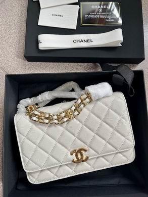1:1 Chanel Bags 19X12X3.5cm 092702