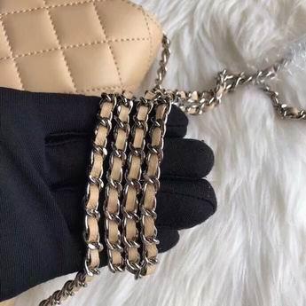 1:1 Chanel Bags 23508