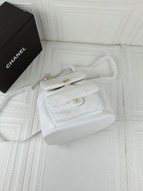 1:1 Chanel Bags 208 22X23X13cm WO 2colour