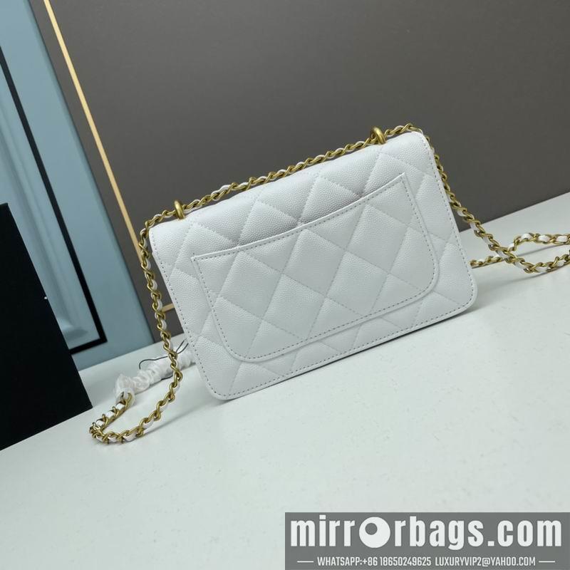 1:1 Chanel Bags Chanel woc2830 19x12x6cm ww4色