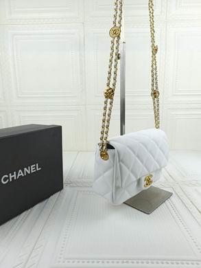 1:1 Chanel Bags 722 21X14.5X6cm WO