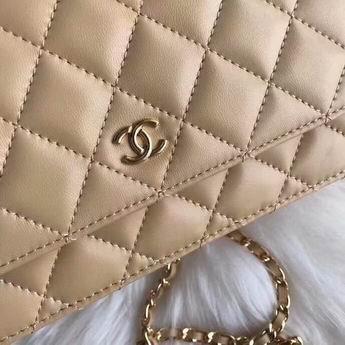 1:1 Chanel Bags 23508