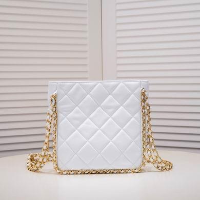 1:1 Chanel Bags AS3470 23X21X5cm WO 2colour