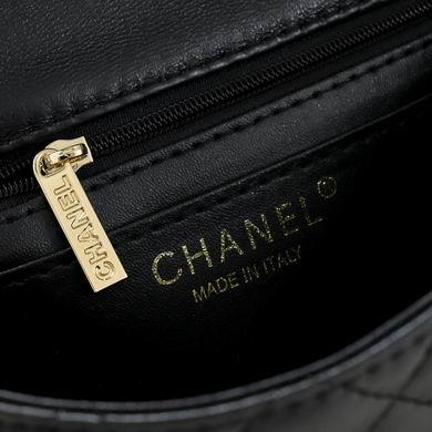 1:1 Chanel Bags 2431 20X14X7cm WO 2colour
