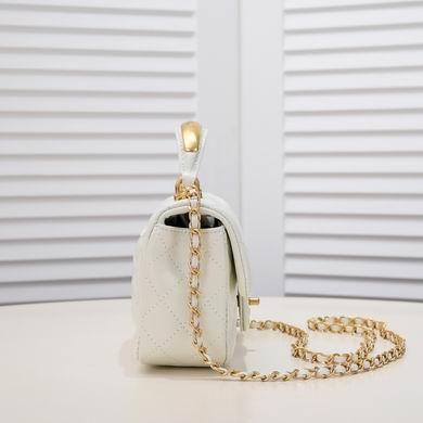 1:1 Chanel Bags AS2431 20X12X6CM WO 2colour