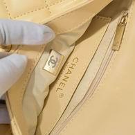 1:1 Chanel Bags As3214 17X21X6cm WO 2