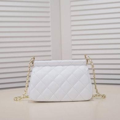 1:1 Chanel Bags 3322 17.5X12X5.5cm WO 5