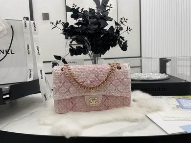 1:1 Chanel Bags 01112 25cm WO 3