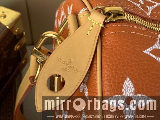 LV Bags Speedy M11565 50x32x29cm gf2