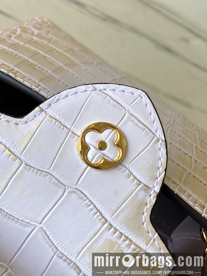 LV Bags Cap N93163 21x14x8cm gf4