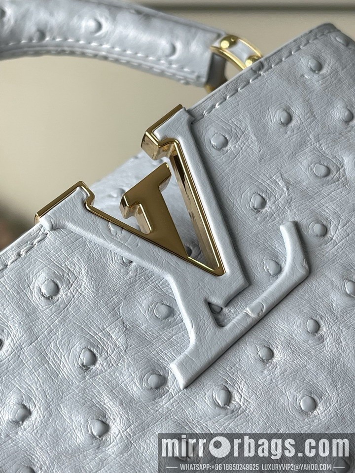 LV Bags Cap M48865 21x14x8cm gf2