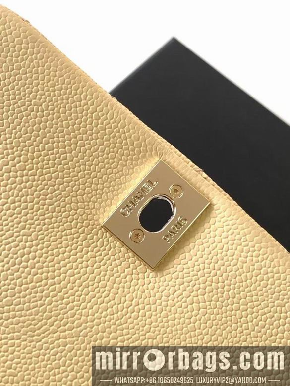 Chanel Bags 3860 21X20X12XZ2色