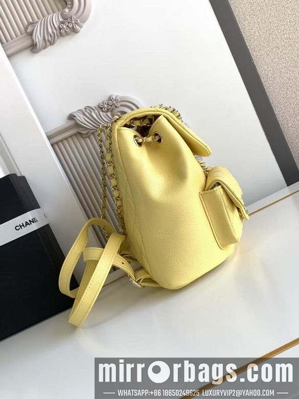 Chanel Bags 3860 21X20X12XZ2色