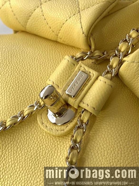 Chanel Bags 3860 21X20X12XZ2色