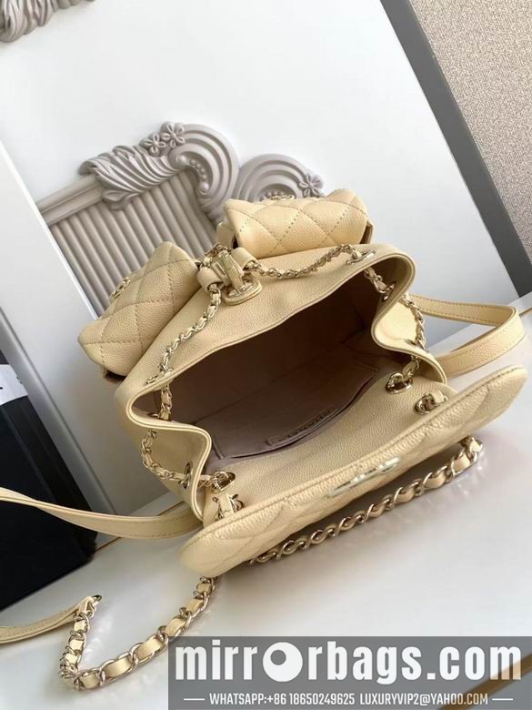 Chanel Bags 3860 21X20X12XZ2色