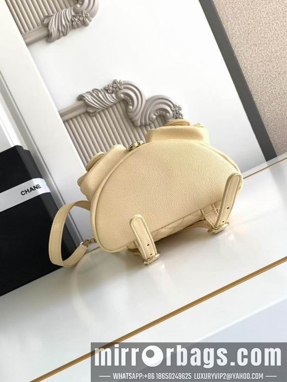 Chanel Bags 3787 17.5X16.5X10 XZ