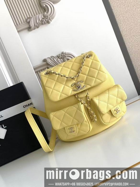 Chanel Bags 3860 21X20X12XZ2色