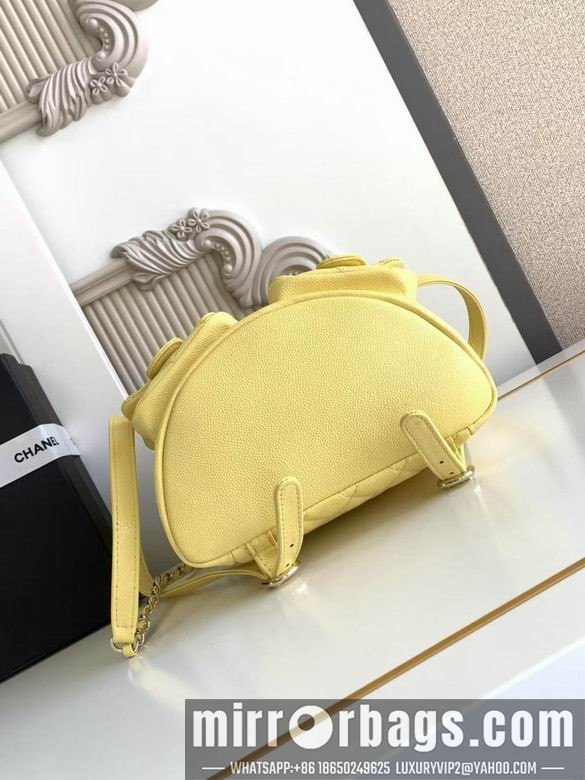 Chanel Bags 3860 21X20X12XZ2色