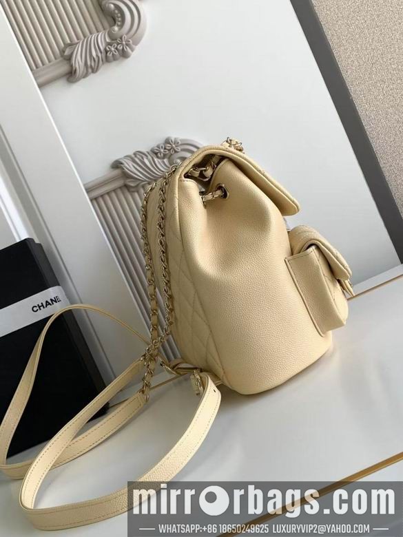 Chanel Bags 3860 21X20X12XZ2色