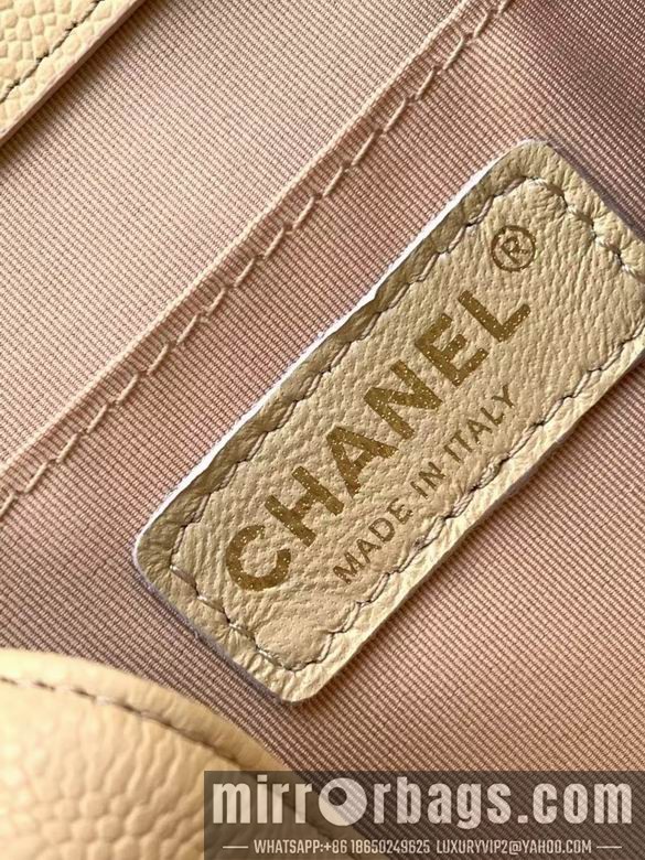 Chanel Bags 3860 21X20X12XZ2色