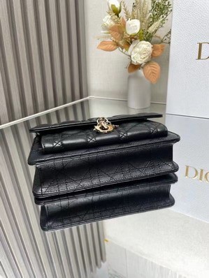Dior Bags Dior 3105 19.5x12.5x5cm yz