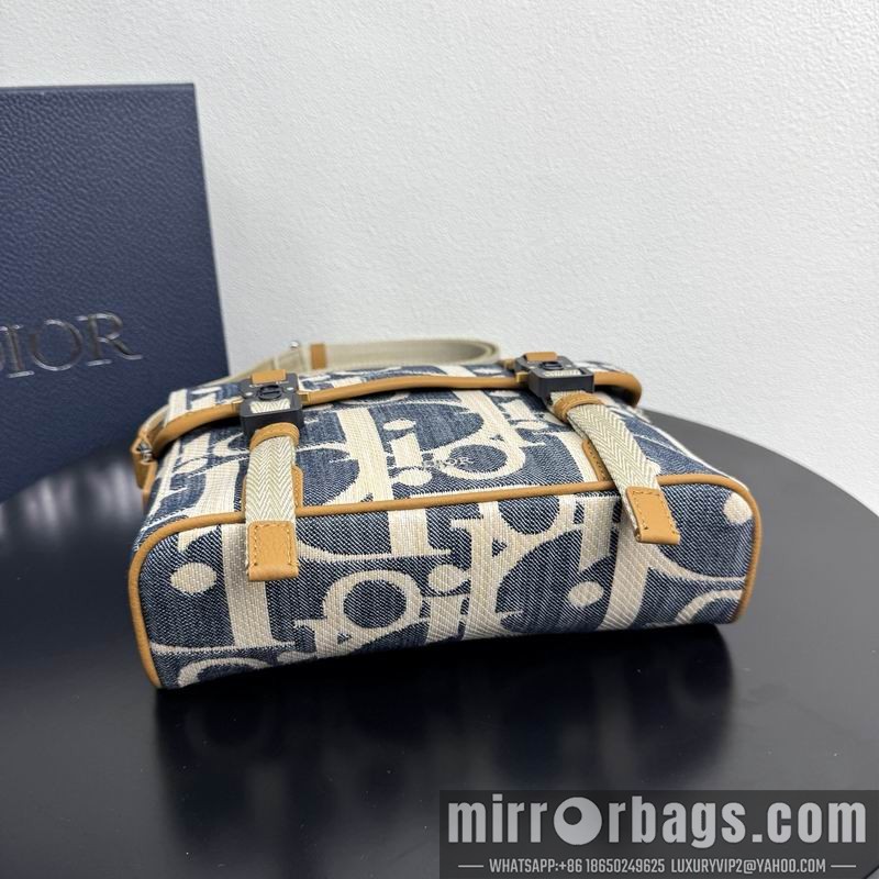 Dior Bags 1HTPO333 24x18x8cm WP 1