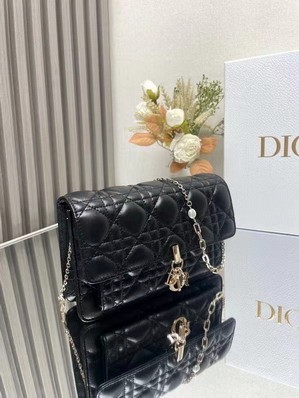 Dior Bags Dior 3105 19.5x12.5x5cm yz