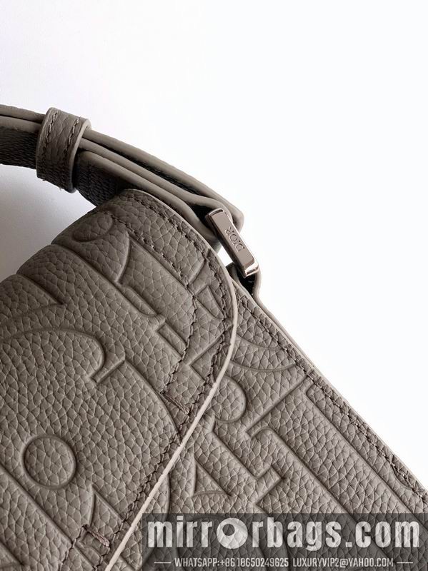 Dior Bags 049 23x17x6cm WP 1